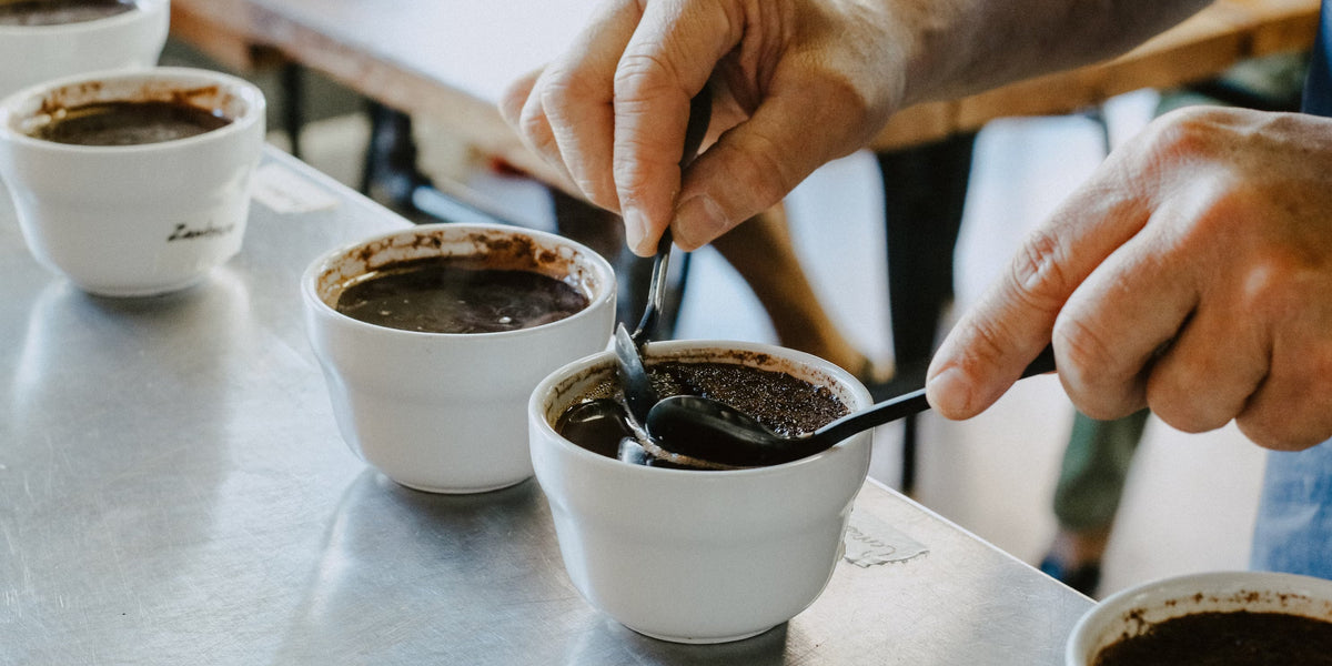 Sip in the Moment: The Mindfulness of Coffee Tasting– Spiritus Coffee Co.