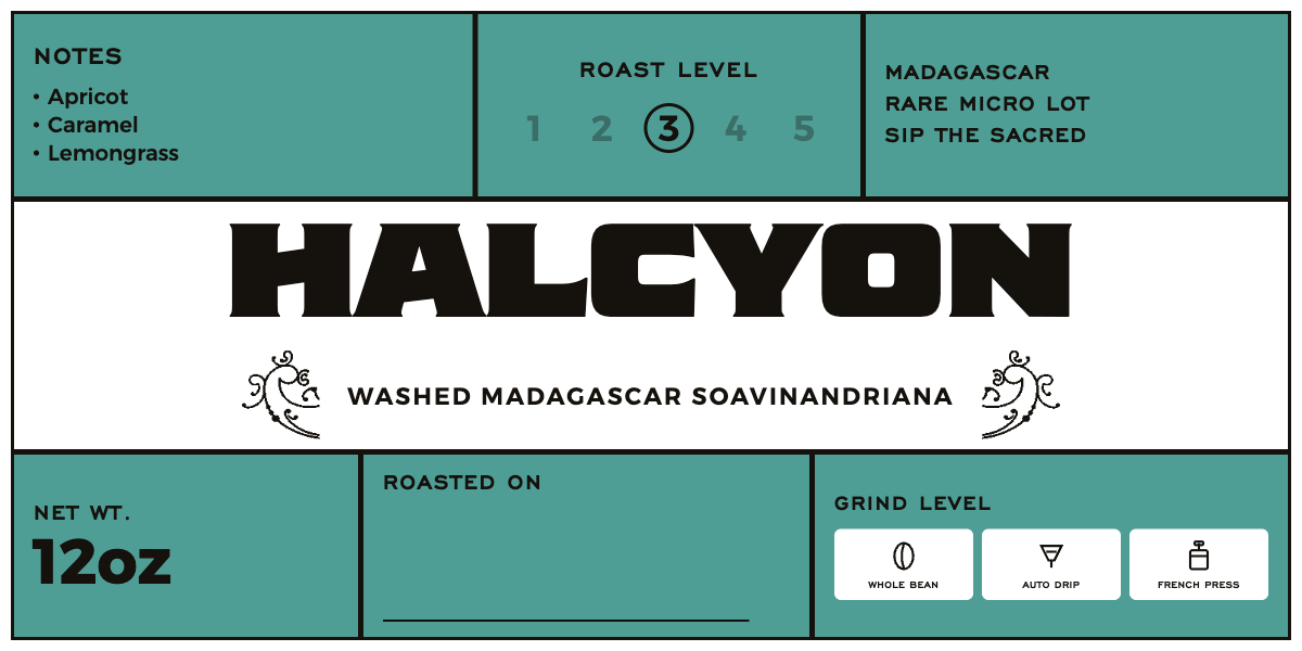 Madagascar Halcyon