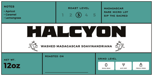 Madagascar Halcyon